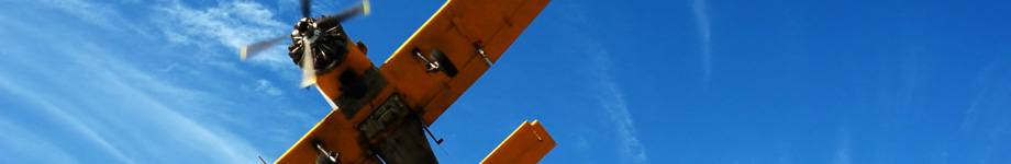 Evidence of Design Rotating Header Image
