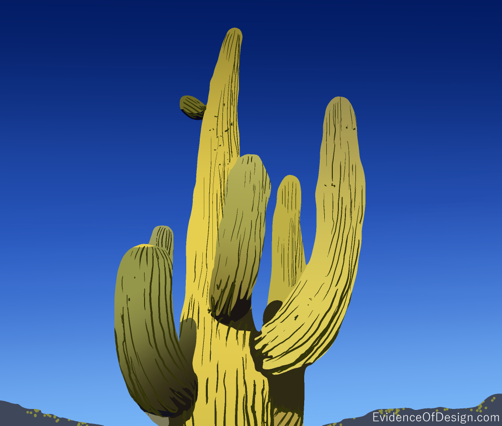 You may think this is one TOUGH PLANT, but you'd be wrong. Instead, you can find out the facts by clicking the picture above. #creation #creationevidence #flood #cactus #suculent #succulents #segurocactus #evidenceofdesign