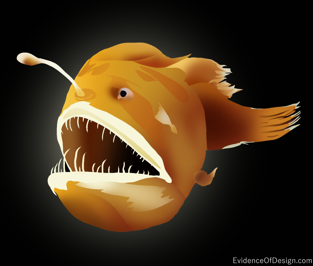 This Beast is NO BEAUTY. But if we look closely, it does show amazing design. Find out how in our article. Just click the picture. #anglerfish #fish #science #creationscience #creation #design #evidenceofdesign #scientificevidence #facts