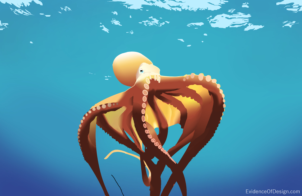 Everyone takes the Octopus for granted. There is nothing really special about it. Right? WRONG. Check out how wrong you have been by clicking the picture.