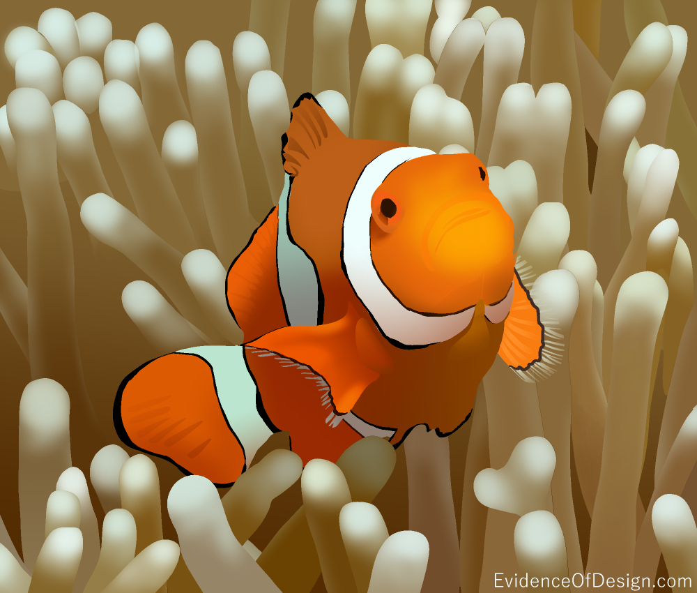 The golden rule isn't JUST for people. Find out how mutualism betters two creatures in today's article. #evidenceofdesign #creation #evidence #clownfish #intelligentdesign #mutualism #animals