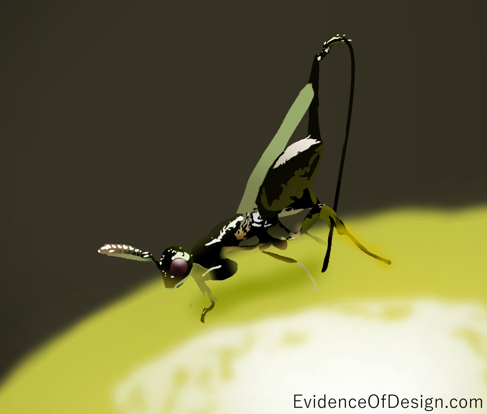 And you thought YOU had it difficult. Well, you haven't met the Evotutionary life of a fig wasp. Check it out by clicking the picture above! #figwasp #science #evidence #evidinceofdesign #nature #creation #creationevidence